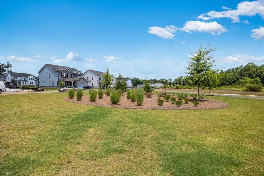 Natural landscape and outdoor views near Kennison Creek in Cumming (Image 34).