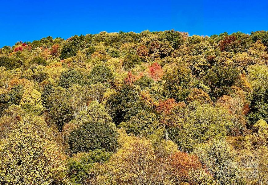Natural landscape and outdoor views near in Canton (Image 8). Natural landscape and outdoor views near in Canton (Image 8).