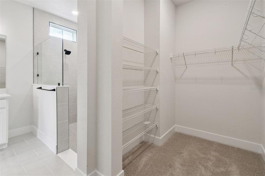 Spacious, unfurnished interior of a new home in Chapel Crossings - Garden Series, Wesley Chapel (Image 11).