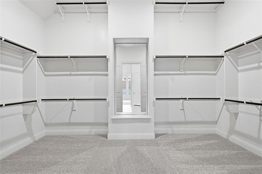 Walk in closet with carpet floors