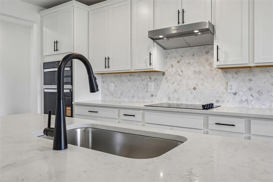 Close-up of interior finishes inside a home in The Grove at Stuart Crossing - Signature Series, Bartow (Image 17).