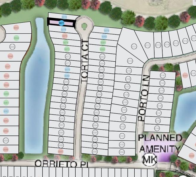 Esplanade at Azario Lakewood Ranch ~ Site Map
