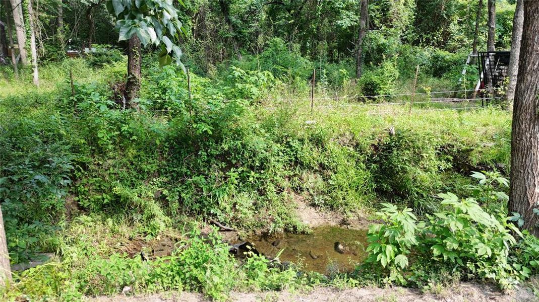 Natural landscape and outdoor views near in Quinlan (Image 28). Natural landscape and outdoor views near in Quinlan (Image 28).
