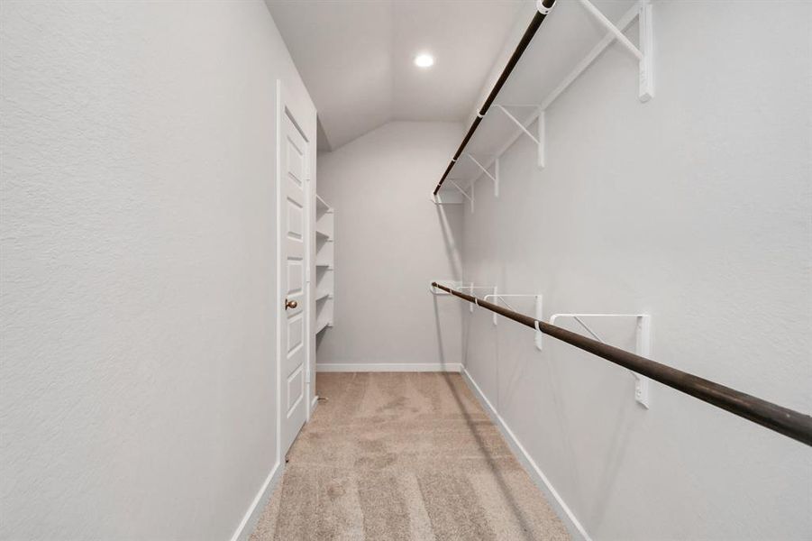 Roomy walk-in closet boasting high ceilings and plush carpeting.