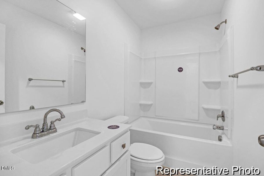 201 Surfbird -Tidalcreekphoto- (17)_REP 201 Surfbird -Tidalcreekphoto- (17)_REP