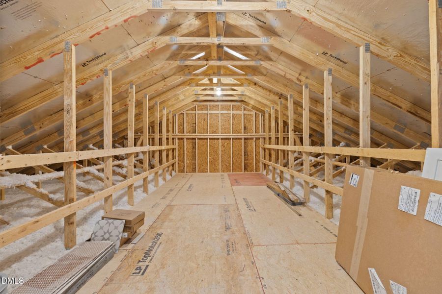 56-web-or-mls-IMG_1528