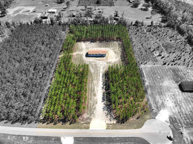 Site preparation for new homesites in , Live Oak (Image 16).