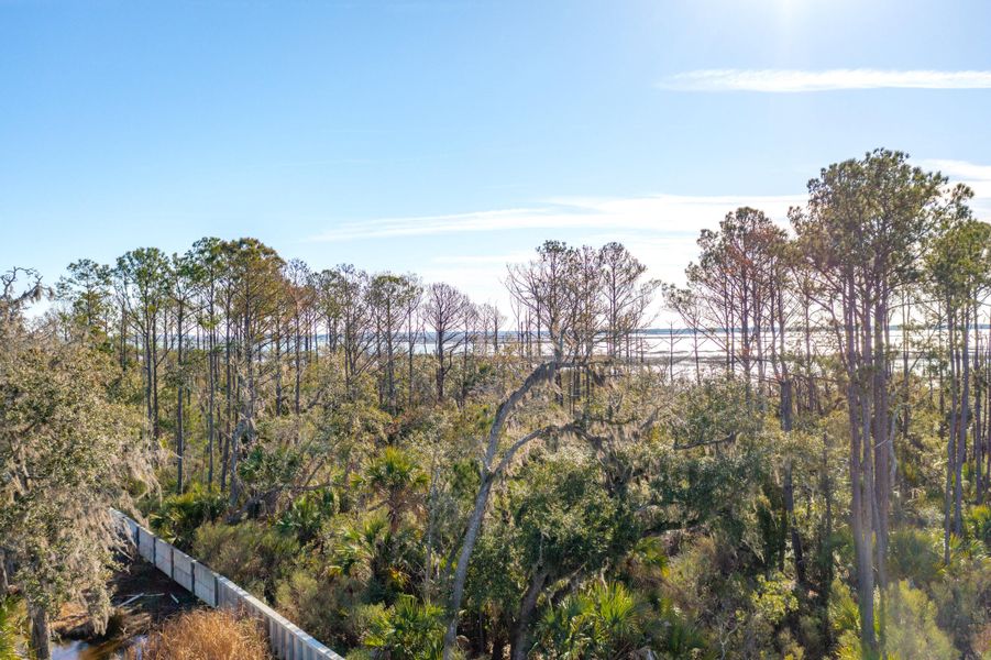 Natural landscape and outdoor views near Liberty Hill Farm in Mount Pleasant (Image 36). Natural landscape and outdoor views near Liberty Hill Farm in Mount Pleasant (Image 36).