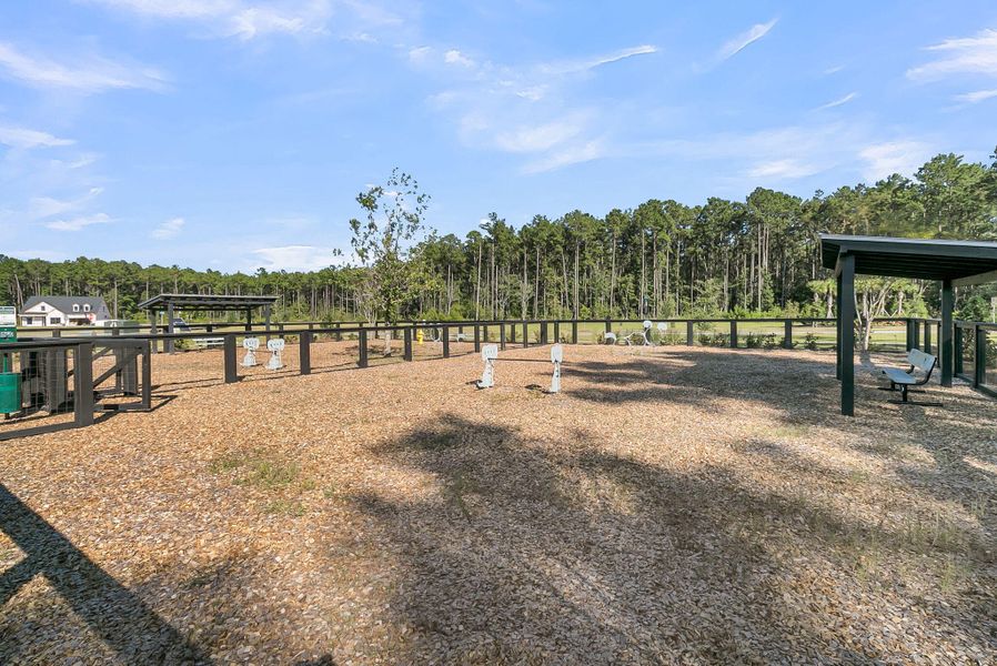Community amenities in Summerwind Crossing at Lakes of Cane Bay, Summerville (Image 45).