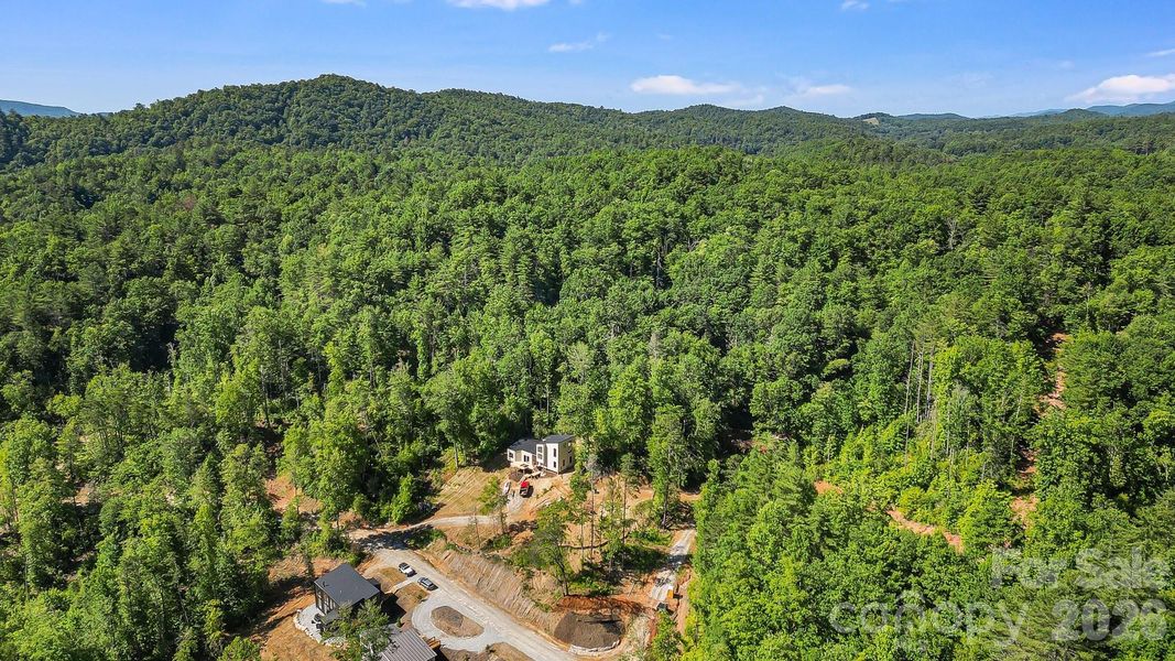 Natural landscape and outdoor views near  in Lake Toxaway (Image 24).