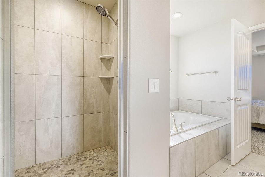 primary tub and stand-alone shower