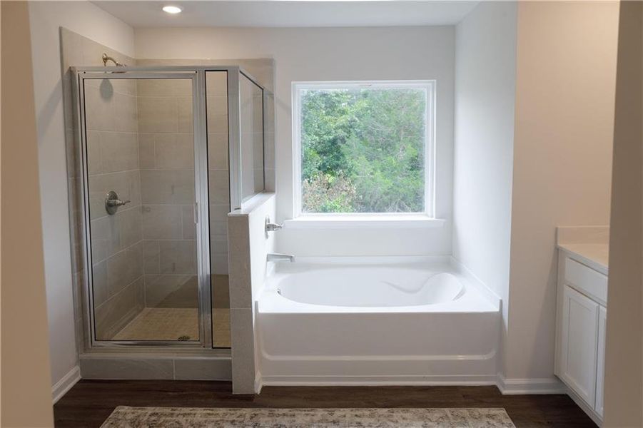 Furnished interior view inside a new home in Castleberry Pointe, Dawsonville (Image 6).