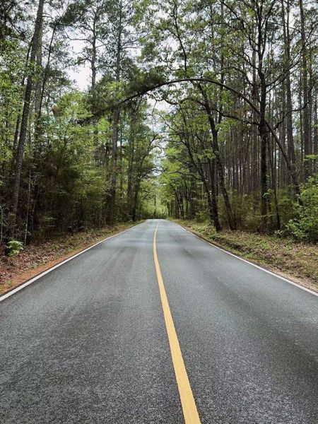 Natural landscape and outdoor views near  in Montgomery (Image 38).