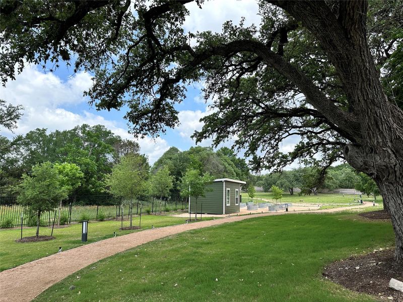 Walking trail Walking trail