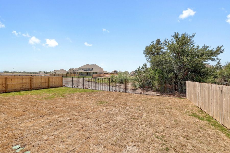 Backyard
