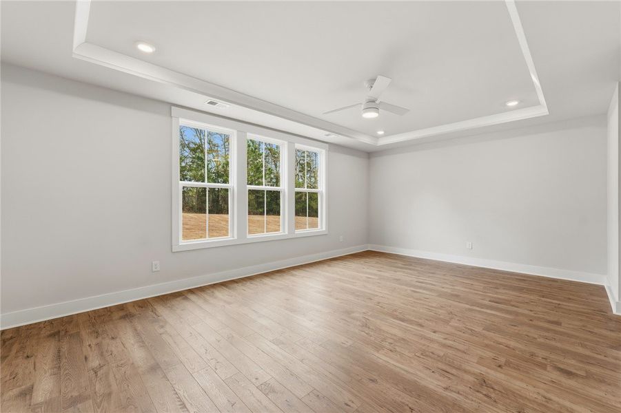 This spacious room features elegant tray ceilings