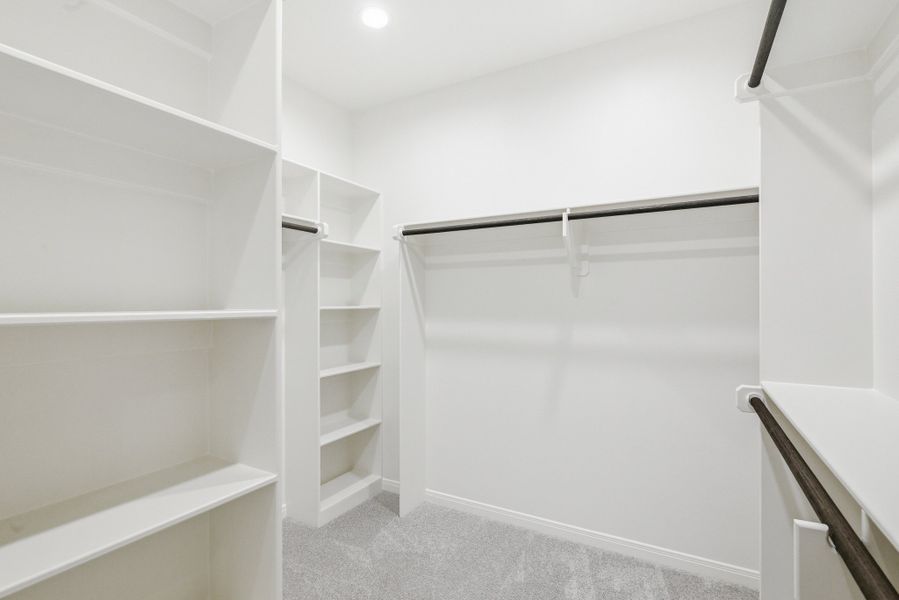 Spacious, unfurnished interior of a new home in TerraVista, Victoria (Image 36). Spacious, unfurnished interior of a new home in TerraVista, Victoria (Image 36).