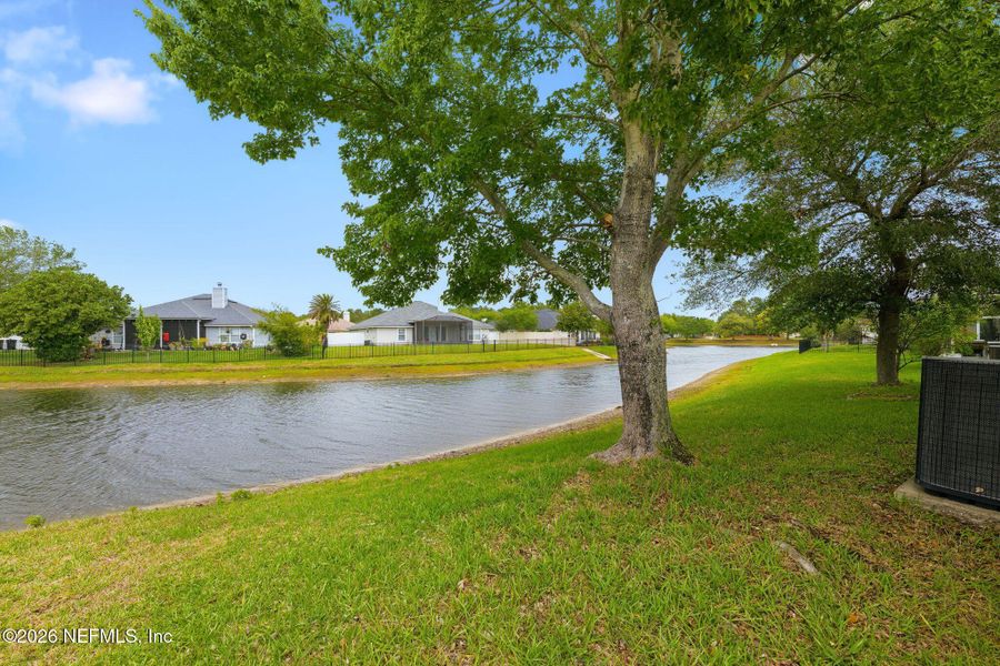 Natural landscape and outdoor views near  in Jacksonville (Image 39).