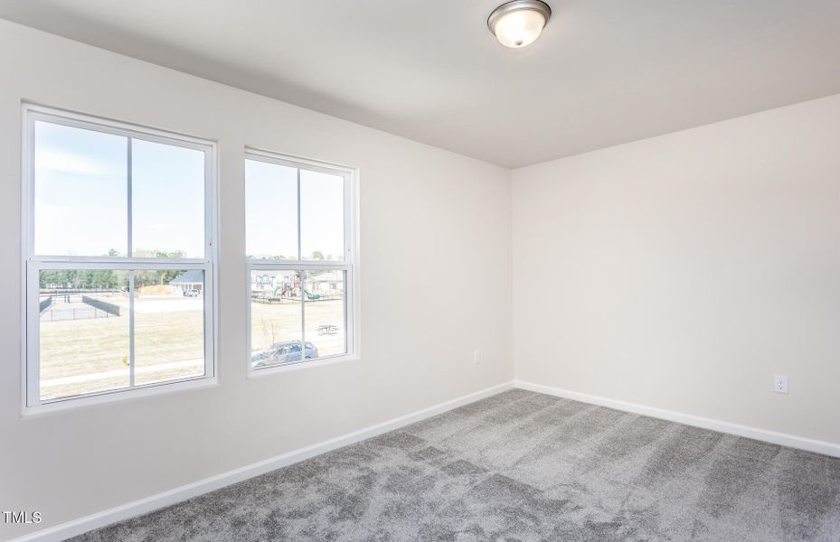 MMOrioleLR016 MMOrioleLR016