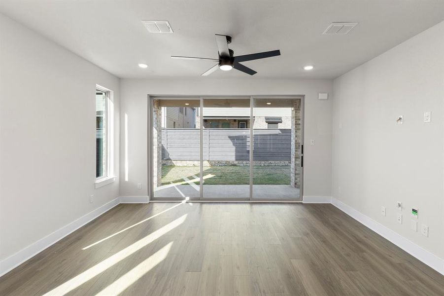 11. 1117 Amaryllis - Family