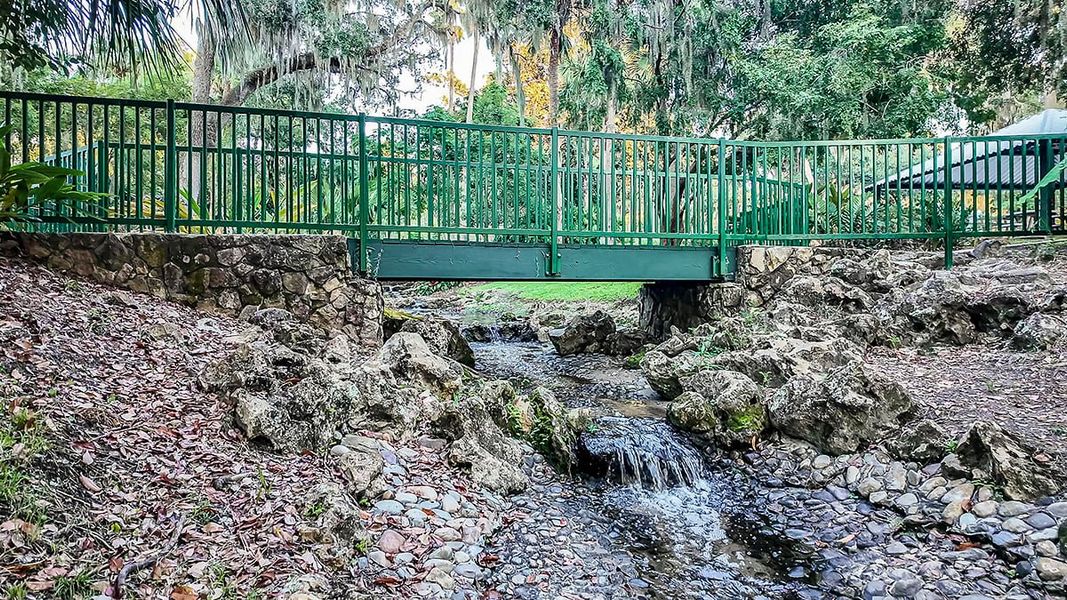 Natural landscape and outdoor views near Lochside in Mount Dora (Image 48). Natural landscape and outdoor views near Lochside in Mount Dora (Image 48).