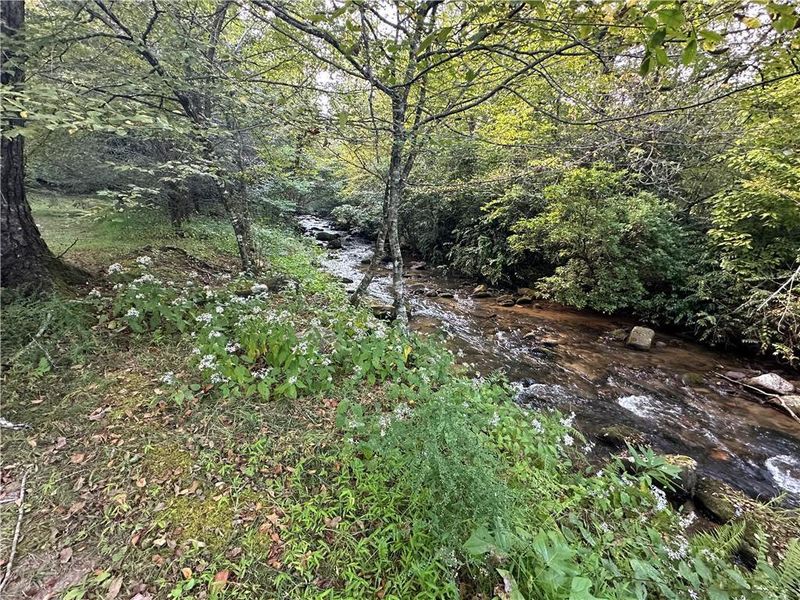 Natural landscape and outdoor views near in Clarkesville (Image 17). Natural landscape and outdoor views near in Clarkesville (Image 17).