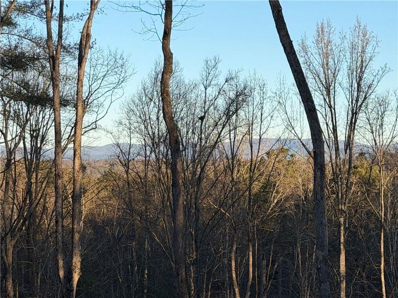 Natural landscape and outdoor views near  in Ellijay (Image 47).