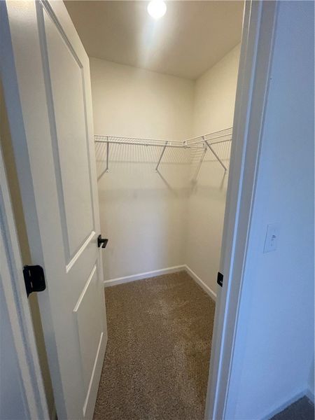 Spacious, unfurnished interior of a new home in Springwood Grove, Central (Image 26). Spacious, unfurnished interior of a new home in Springwood Grove, Central (Image 26).