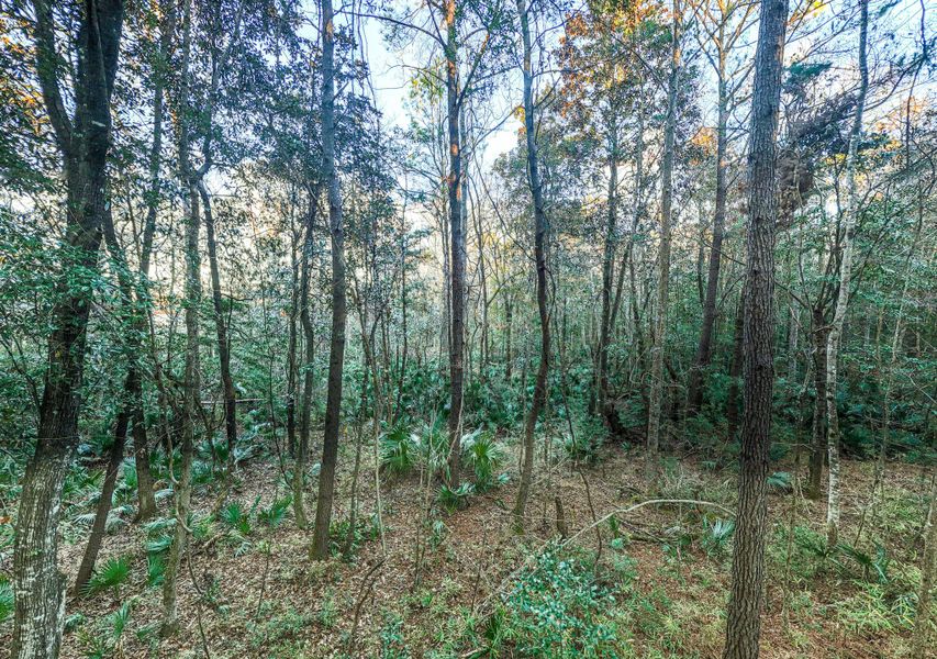 Natural landscape and outdoor views near in Dorchester (Image 24). Natural landscape and outdoor views near in Dorchester (Image 24).