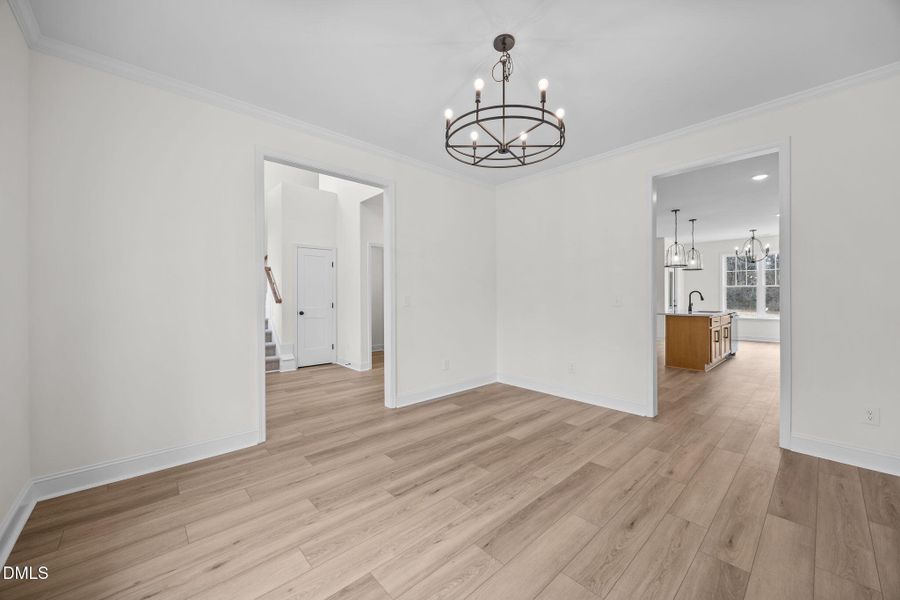 28-web-or-mls-IMG_3216