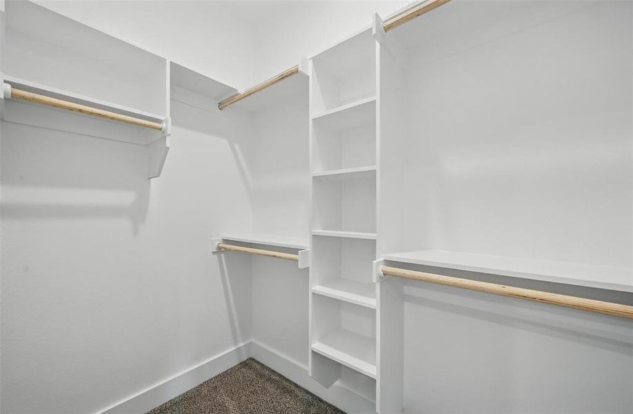 Spacious closet featuring dark carpet