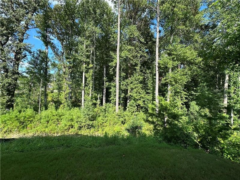 Natural landscape and outdoor views near Kelly Preserve in Loganville (Image 30).