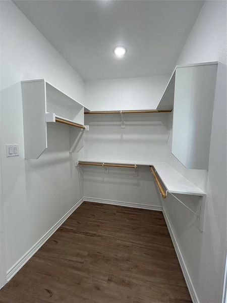 Spacious master closet with dark hardwood / wood-style flooring