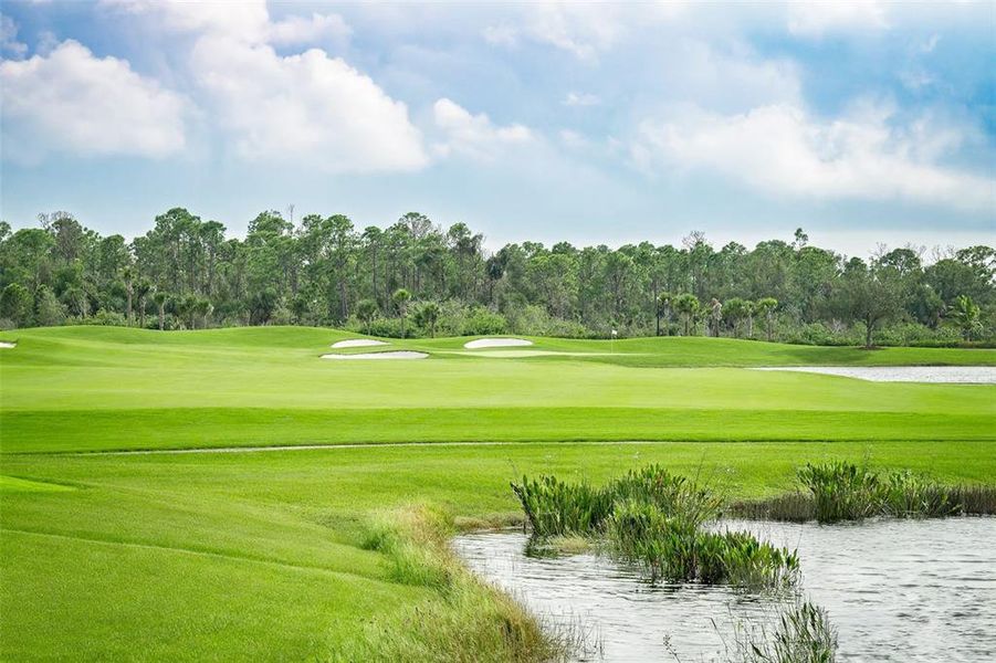 Natural landscape and outdoor views near in Punta Gorda (Image 42). Natural landscape and outdoor views near in Punta Gorda (Image 42).
