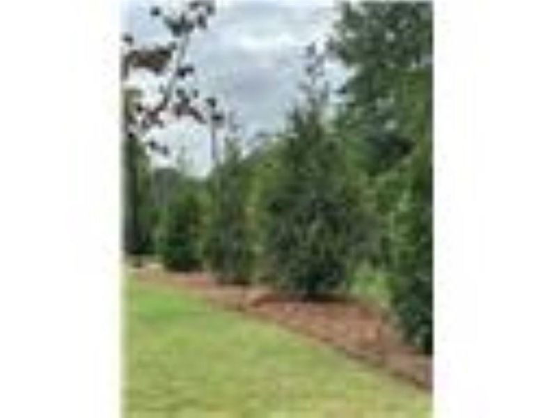 Natural landscape and outdoor views near Archerfield in Smyrna (Image 29).