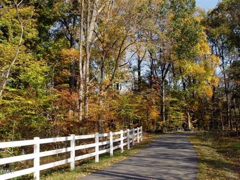 Cape Fear Trail