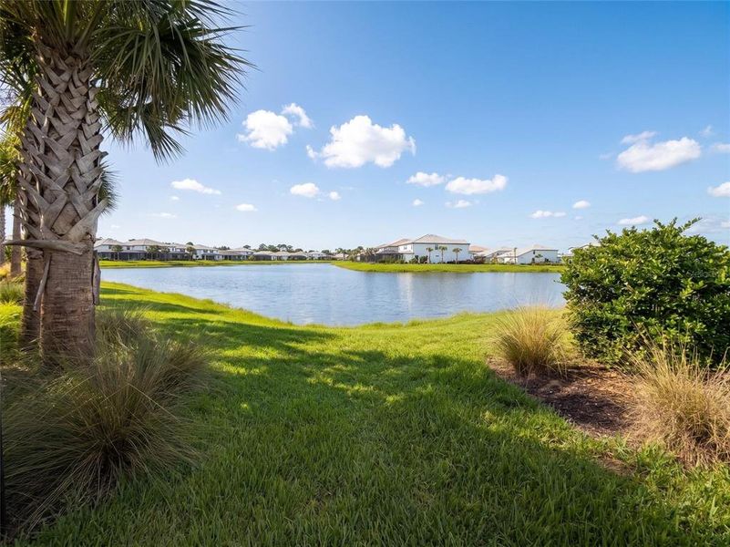 Natural landscape and outdoor views near Sapphire Point at Lakewood Ranch in Lakewood Ranch (Image 51).