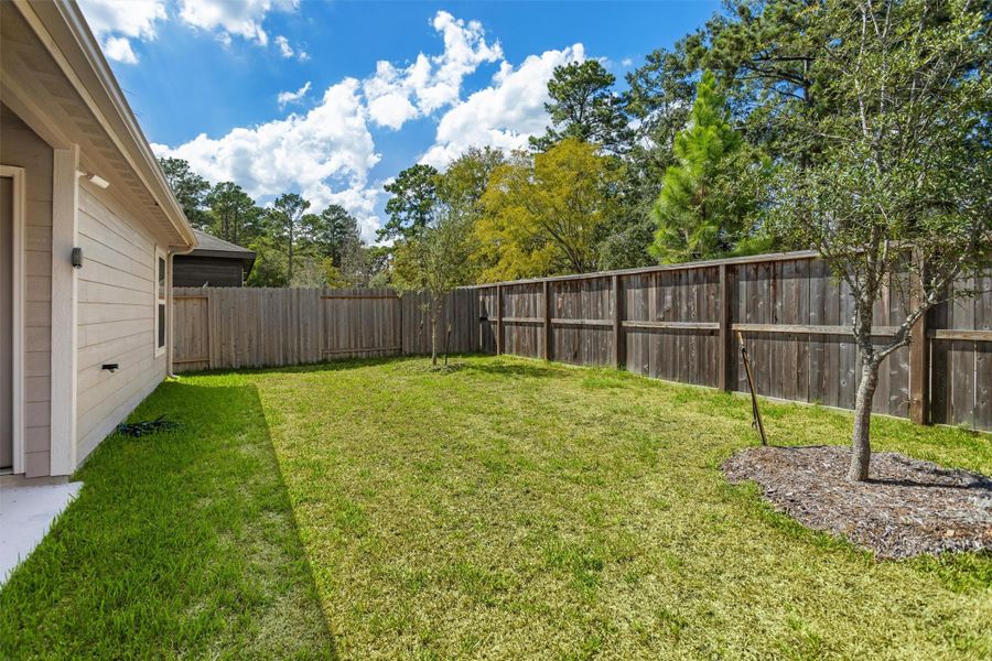 Backyard Backyard