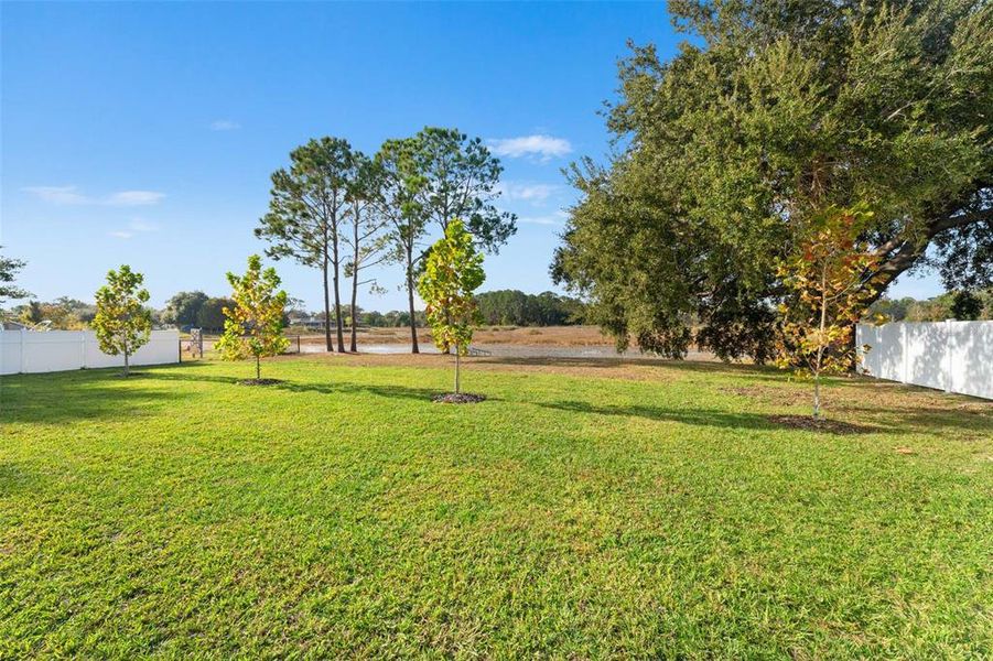 Natural landscape and outdoor views near  in Spring Hill (Image 37).