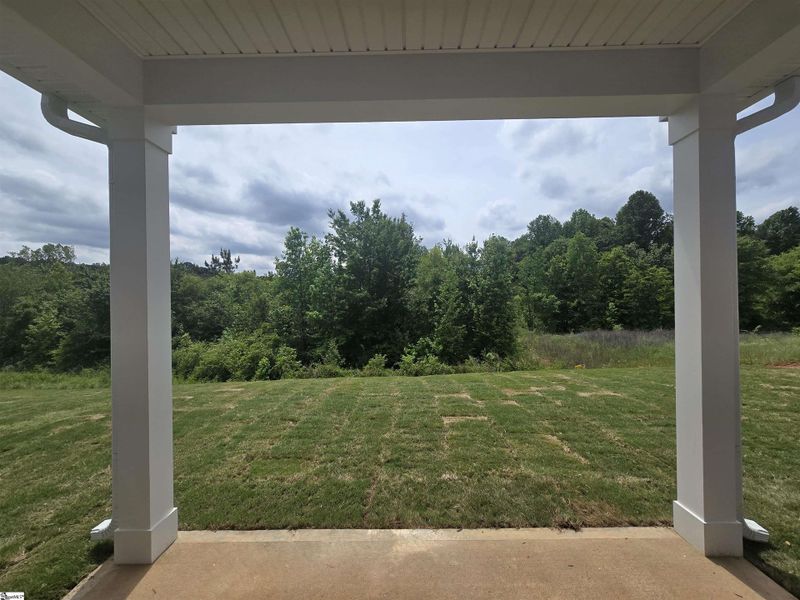 Exterior details and patio area of a home in Shiloh Trail, Wellford (Image 16).