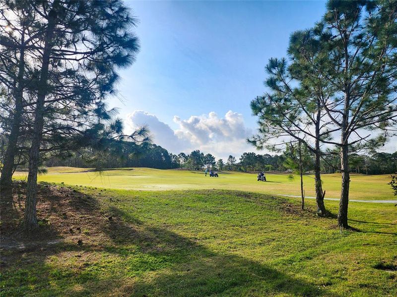 Natural landscape and outdoor views near in New Smyrna Beach (Image 26). Natural landscape and outdoor views near in New Smyrna Beach (Image 26).