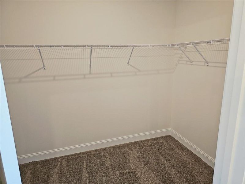 Spacious, unfurnished interior of a new home in Park Place, Bowdon (Image 12). Spacious, unfurnished interior of a new home in Park Place, Bowdon (Image 12).