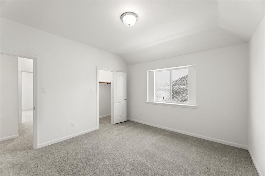 18_Grapevine_Representative Photo 18_Grapevine_Representative Photo