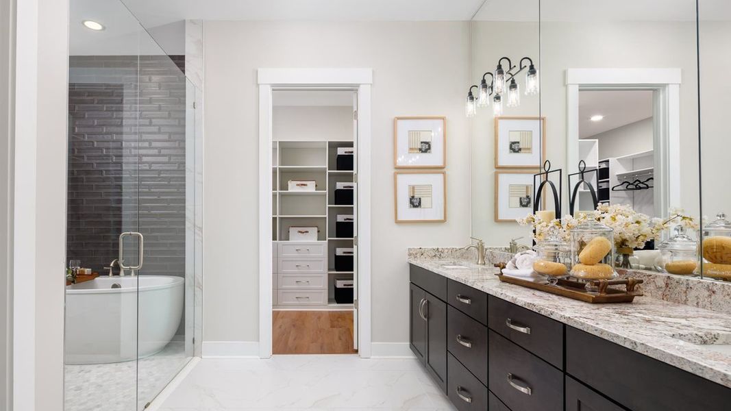 Owner's Bath