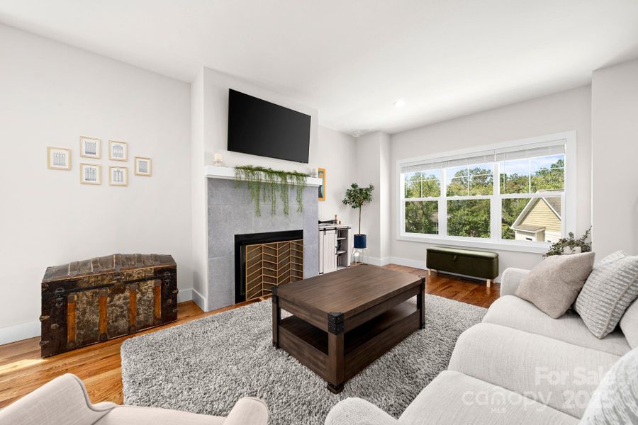 Sunny west facing windows. Sunny west facing windows.