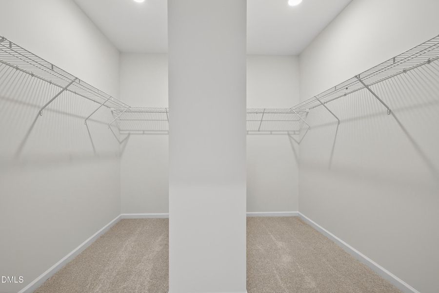 Representational Photo Representational Photo