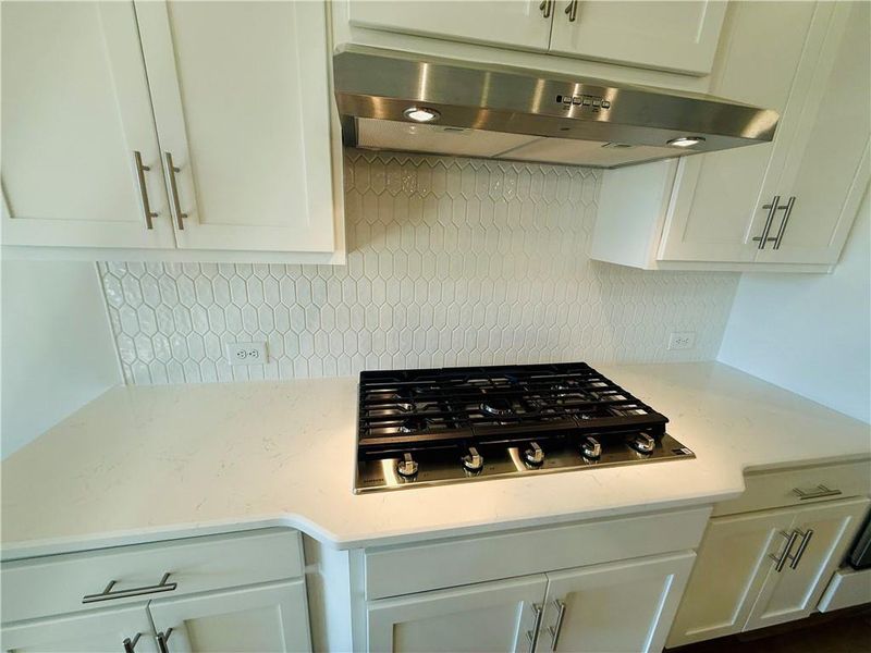 Close-up of interior finishes inside a home in Ponderosa Farms Estates, Gainesville (Image 13).