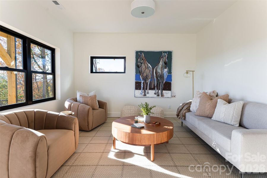 Lower family room