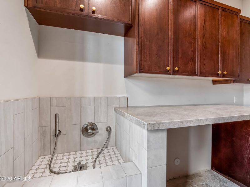 Dog wash in laundry room Dog wash in laundry room