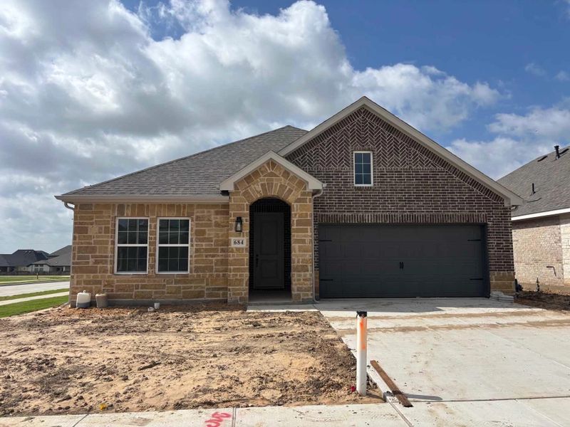 Exterior Design Construction Progess